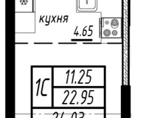 Купить Однокомнатную Квартиру Метро Парнас Вторичка