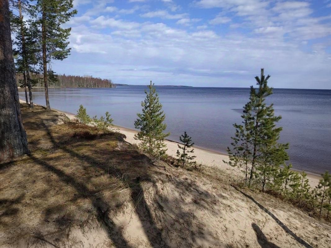 Купить дом в поселке Шальском в Пудожском районе в республике Карелия — 7  объявлений о продаже загородных домов на МирКвартир с ценами и фото