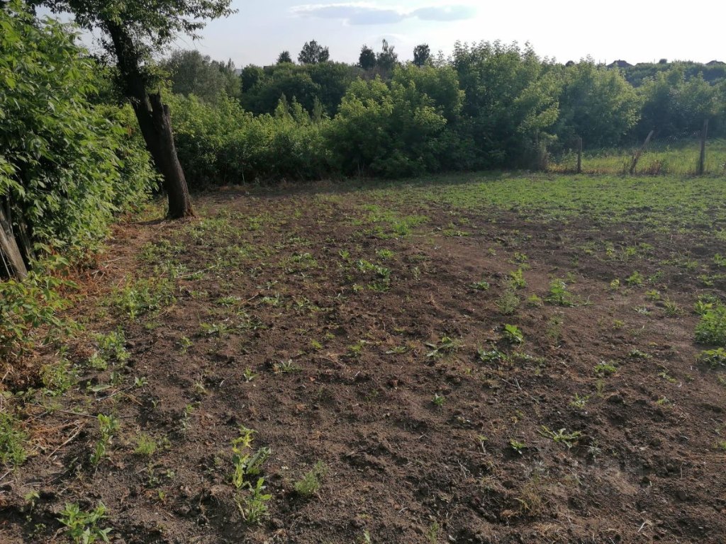 Купить недорого дом в деревне Ладыгино в Дмитриевском районе в Курской  области — 56 объявлений о продаже загородных домов на МирКвартир с ценами и  фото