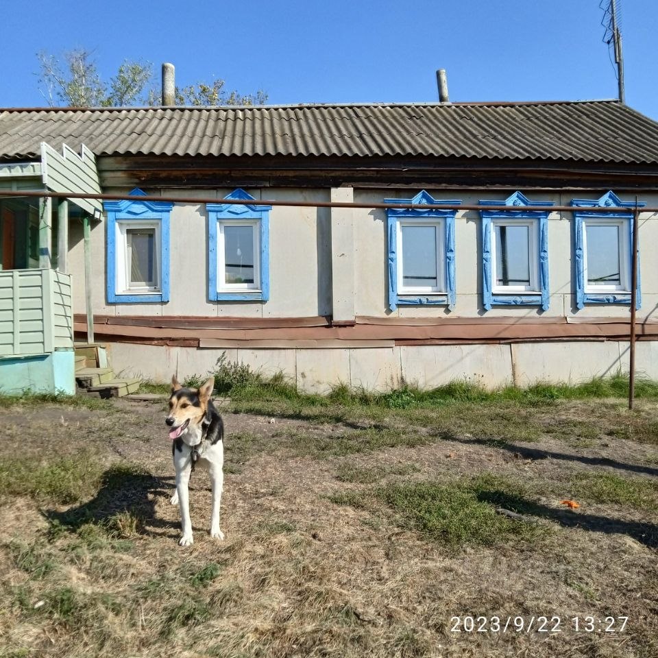 Купить дом в Спасском районе в Пензенской области — 39 объявлений о продаже  загородных домов на МирКвартир с ценами и фото