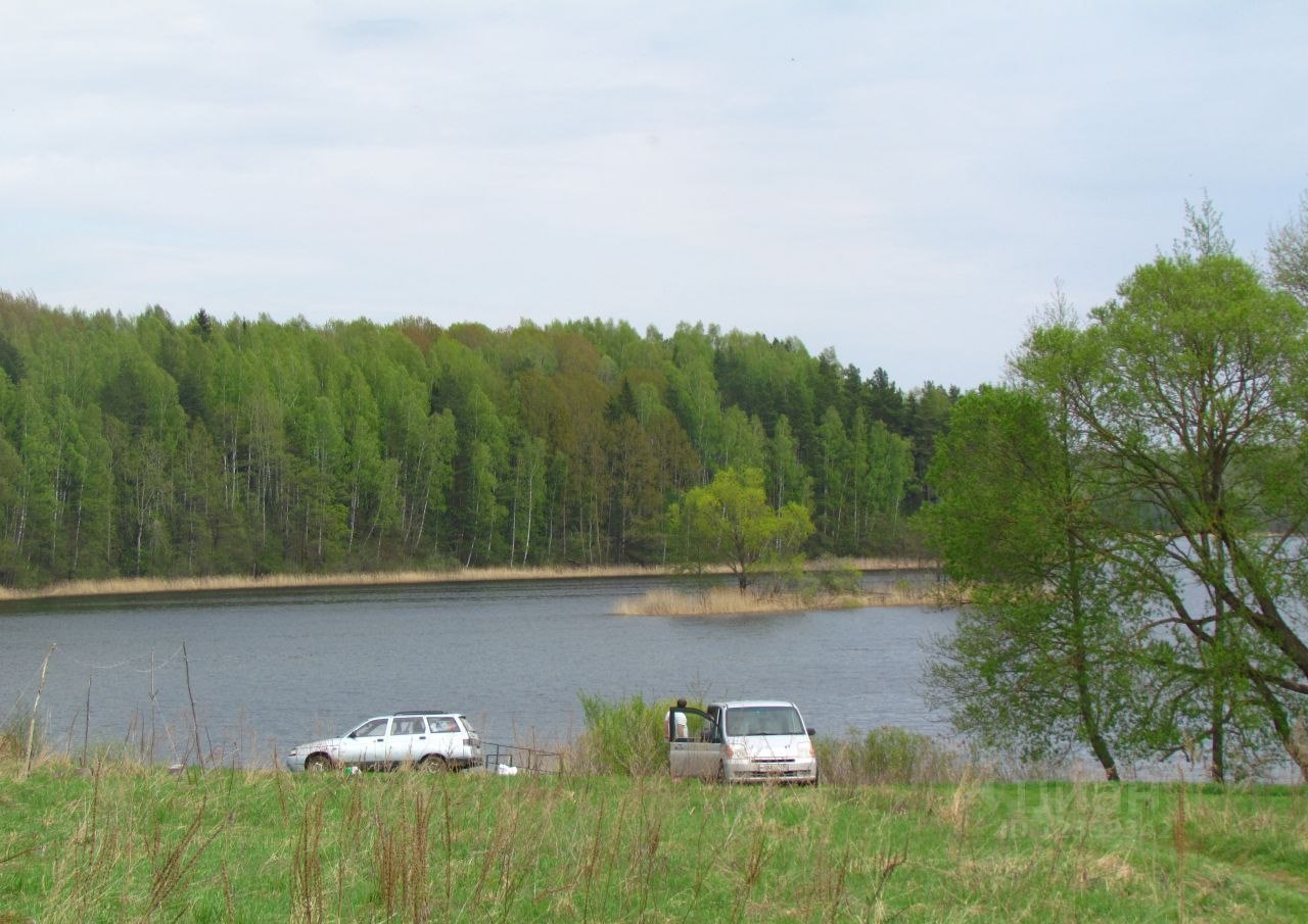 озеро диво демидовский район