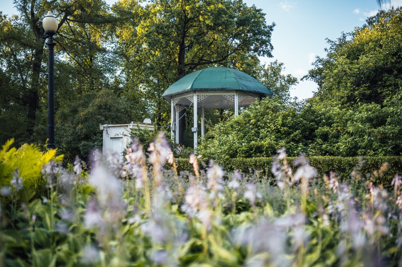 Экология района не подкачала. Фото: Stone